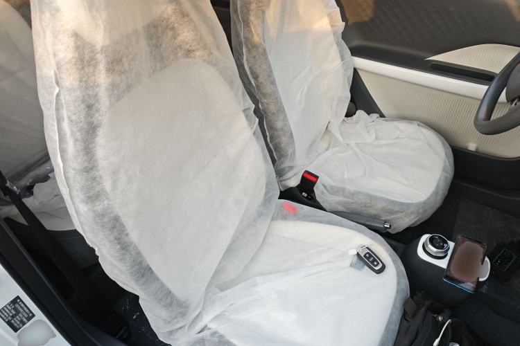 Used  Panda 2025 210 km – Yuanqi Bear
