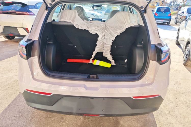 Used  Geome 2025 310km Youth Edition