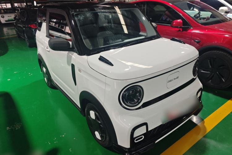 Used  Panda 2024 200km Panda Kart
