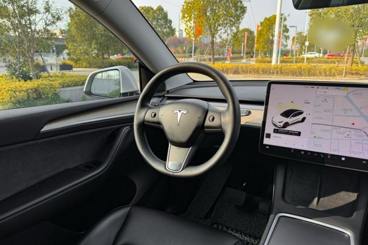 Used Tesla Model Y 2021 Standard Range Rear-Wheel Drive Version
