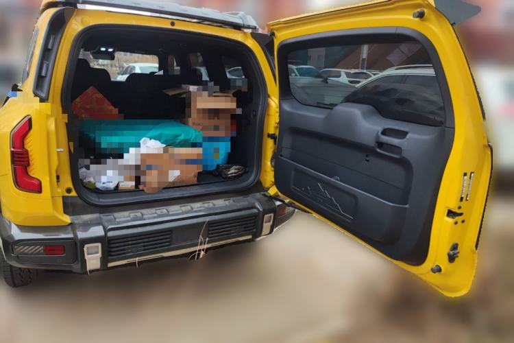 Used  G318 2025 Worry-Free Cross-Country Edition Four-Wheel Drive Distant Mountains Version