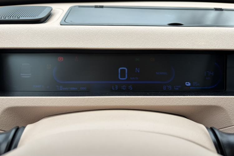 Used  Panda 2023 Panda Mini 200km Endurance Bear
