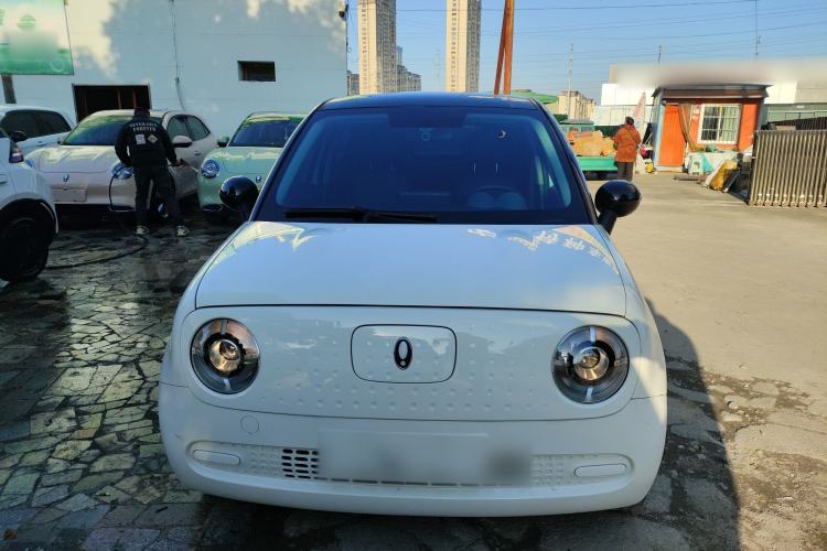 Used ORA Black Cat 2022 Updated Version 301 km Cute Pet Edition Lithium Iron Phosphate