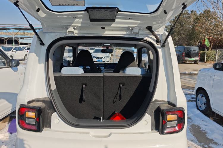 Used  Panda 2024 Panda Mini 200km Endurance Bear