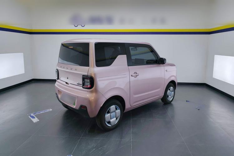 Used  Panda 2023 Panda Mini 200km Endurance Bear
