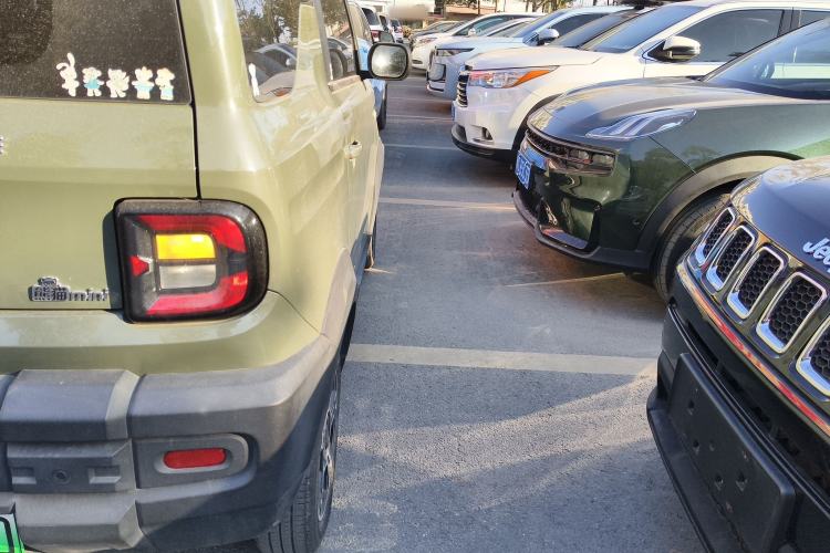 Used  Panda 2024 200km Panda Kart
