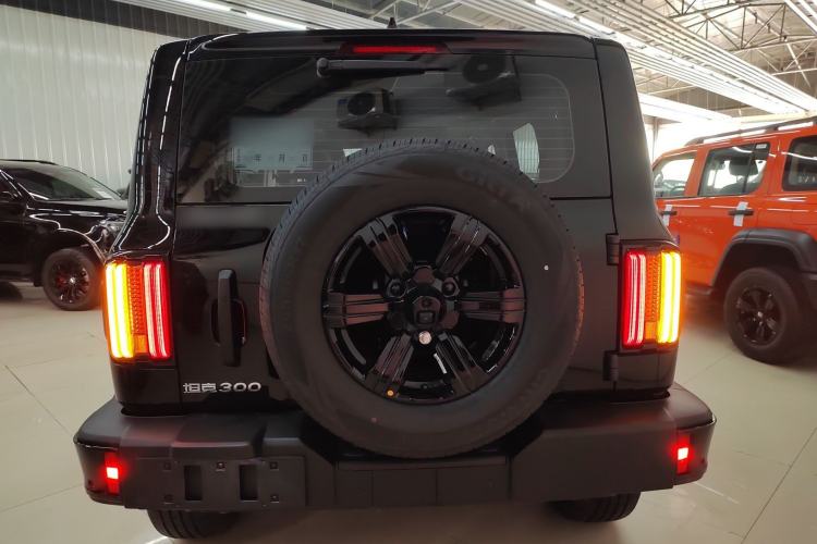 Used Tank 300 2025 2.0T Conqueror