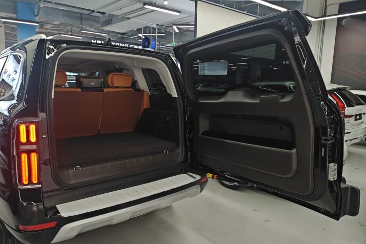 Used Tank 500 New Energy 2024 Hi4-T
