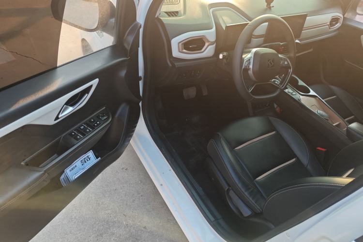 Used SOL E10X 2022 Flower Fairy Design Four-Leaf Clover