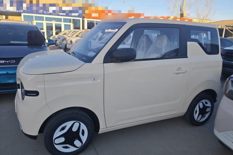 Used  Panda 2025 210 km – Yuanqi Bear
