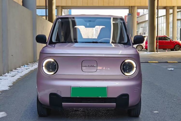 Used  Panda 2024 Panda Mini 200km Longteng PRO Edition
