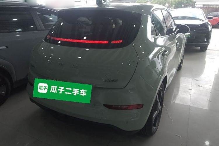 Used ORA Good Cat 2024 401 km Luxury Version
