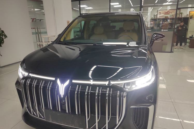 Used VOYAH Dream 2022 Low-Carbon Edition Home