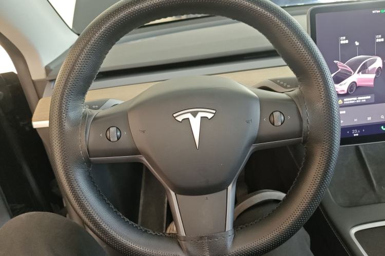 Used Tesla Model Y 2021 Standard Range Rear-Wheel Drive Version
