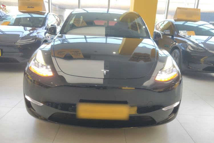 Used Tesla Model Y 2021 Standard Range Rear-Wheel Drive Version
