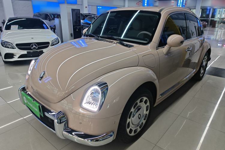 Used ORA Ballet Cat 2023 401 km Luxury Version