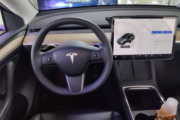 Used Tesla Model Y 2021 Standard Range Rear-Wheel Drive Version
