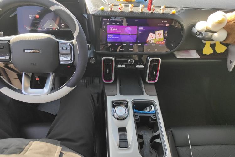 Used Haval DARGO 2024 2.0T DCT Chinese Rural Dog Edition