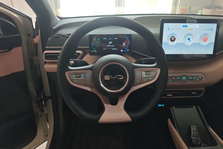 Used BYD Seagull 2025 Intelligent Driving Version 305 km Dynamic Edition
