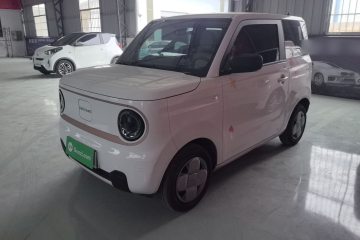 Used Geely Galaxy Panda 2024 Panda Mini 200km Endurance Bear
