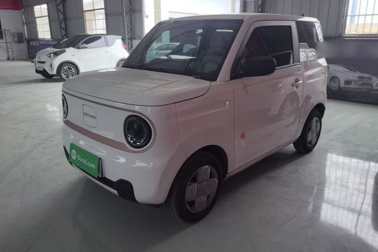 Used  Panda 2024 Panda Mini 200km Endurance Bear