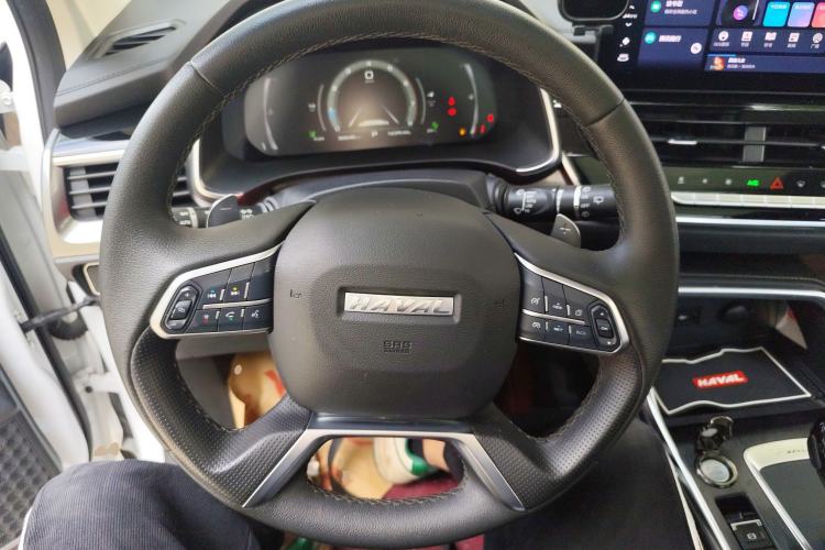 Used Haval H6 2023 National Trend Edition 1.5T Automatic Champion Version
