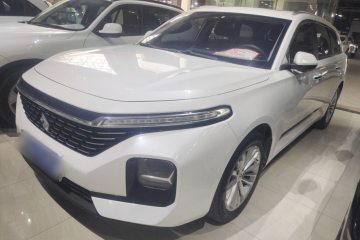 Used Baojun Valli 2021 1.5T Yili Pasture CVT Luxury Model