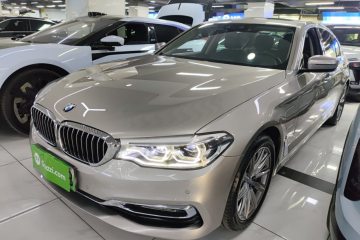 Used BMW 5 Series New Energy 2019 530Le Luxury Package