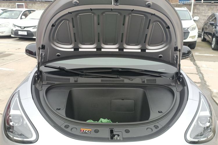 Used  Geome 2025 310km Youth Edition
