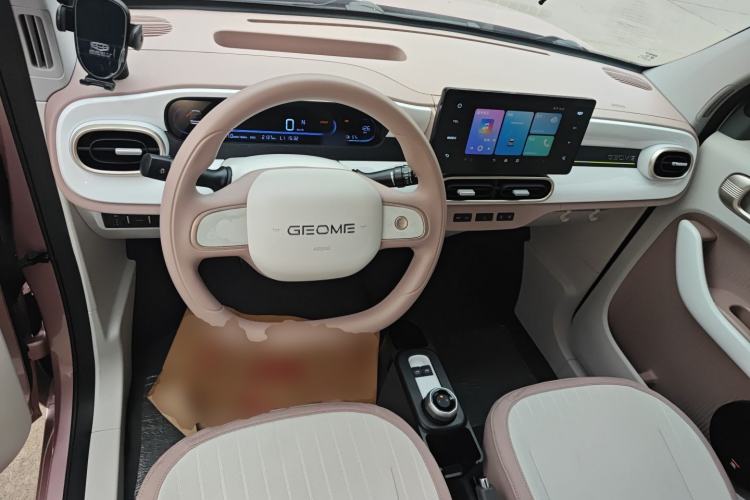 Used  Panda 2025 210 km – Yuanqi Bear