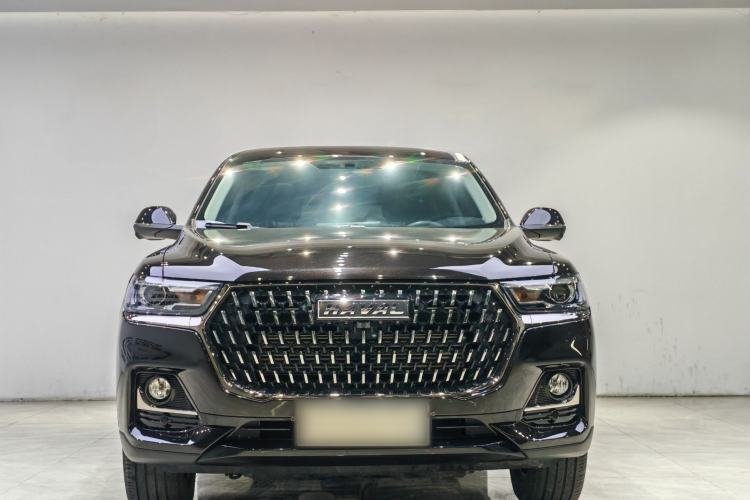 Used Haval H6 2023 National Trend Edition 1.5T Automatic Urban Version
