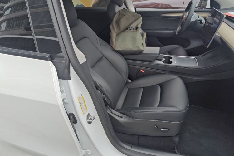 Used Tesla Model Y 2021 Standard Range Rear-Wheel Drive Version
