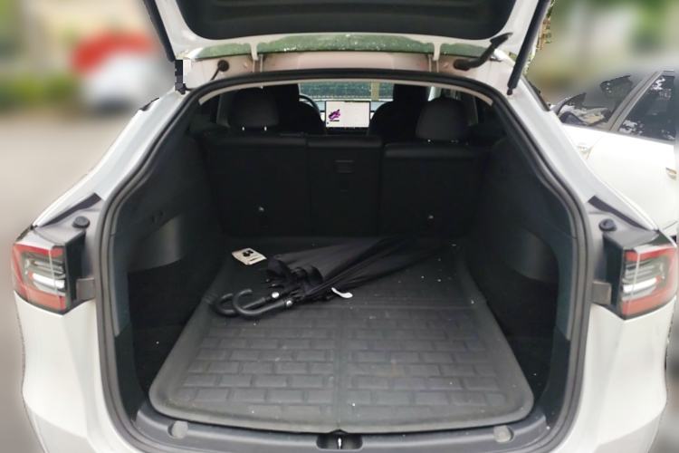 Used Tesla Model Y 2021 Standard Range Rear-Wheel Drive Version
