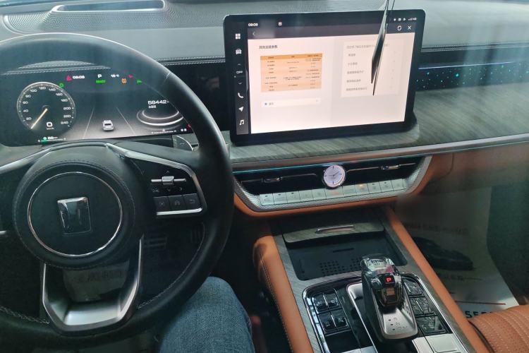 Used Tank 500 2022 3.0T Business Edition "Creation Realm" Design 5-Seater
