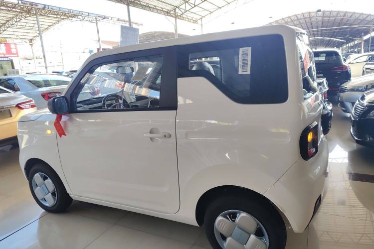 Used  Panda 2024 Panda Mini 200km Endurance Bear

