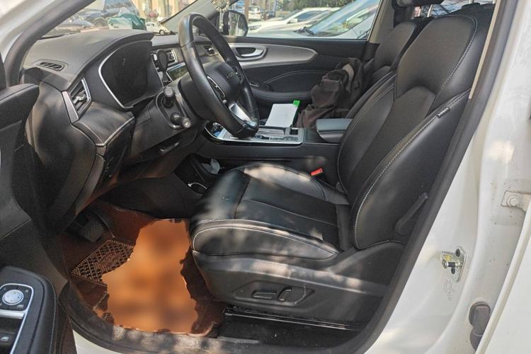 Used Roewe RX5 2020 PLUS 300TGI Automatic Ali National Trend Flagship Edition
