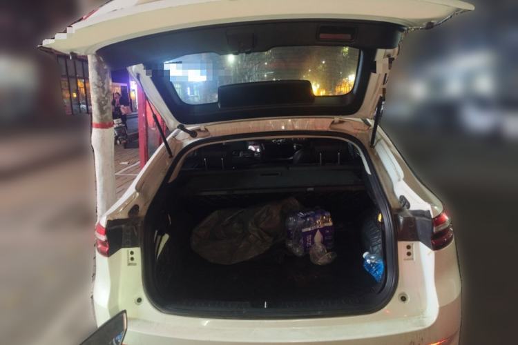 Used Haval F7x 2021 1.5T Two-Wheel Drive Smart Technology Edition