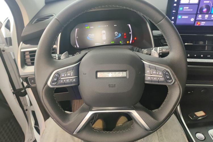 Used Haval H6 2023 National Trend Edition 1.5T Automatic Champion Version
