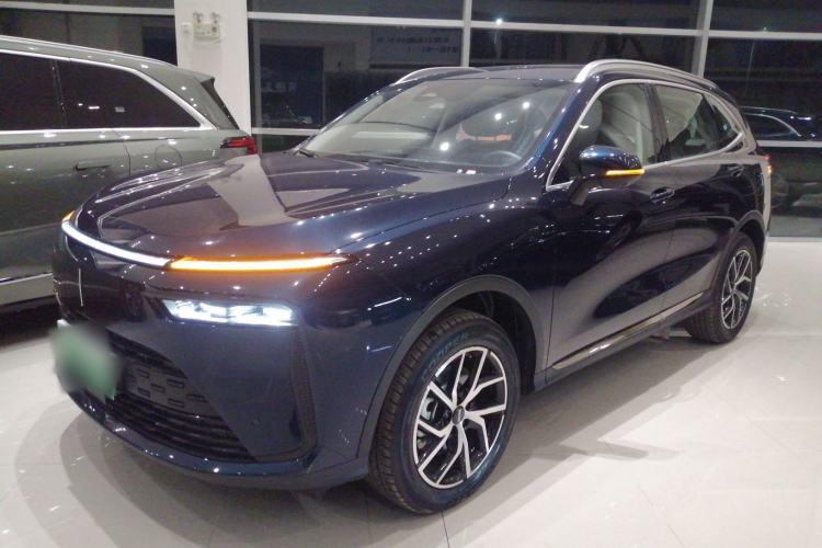 Used Wey Mocha New Energy 2024 Hi4 Four-Wheel Drive Long-Range Version