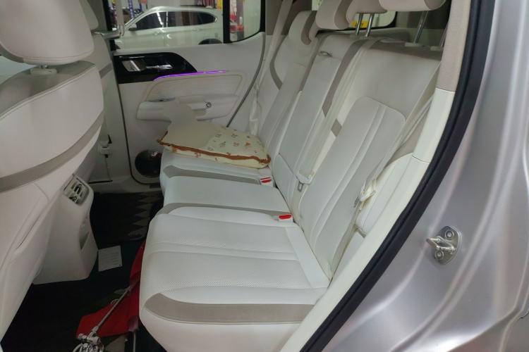 Used  Tank 300 2021 2.0T Cyber Tank
