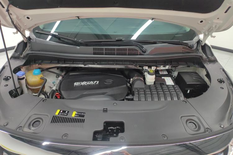 Used GAC Trumpchi M8 2021 Revised Version Lingxiu Series 390T Luxury Edition
