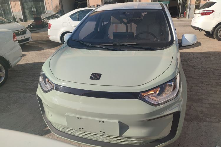 Used SOL E10X 2022 Flower Fairy Style Baby's Breath
