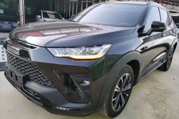 Used Haval H6S 2022 2.0T Two-Wheel Drive JoyRun Version
