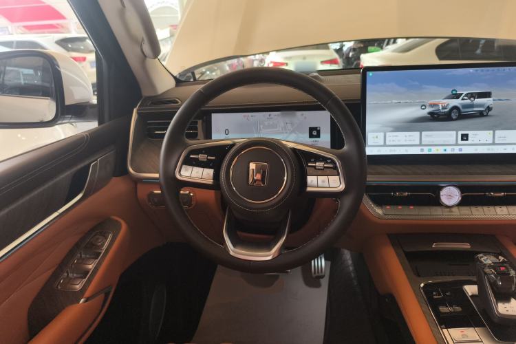 Used Tank 500 New Energy 2025 Hi4-Z
