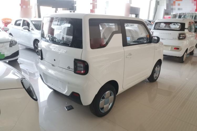 Used  Panda 2024 Panda Mini 200km Endurance Bear
