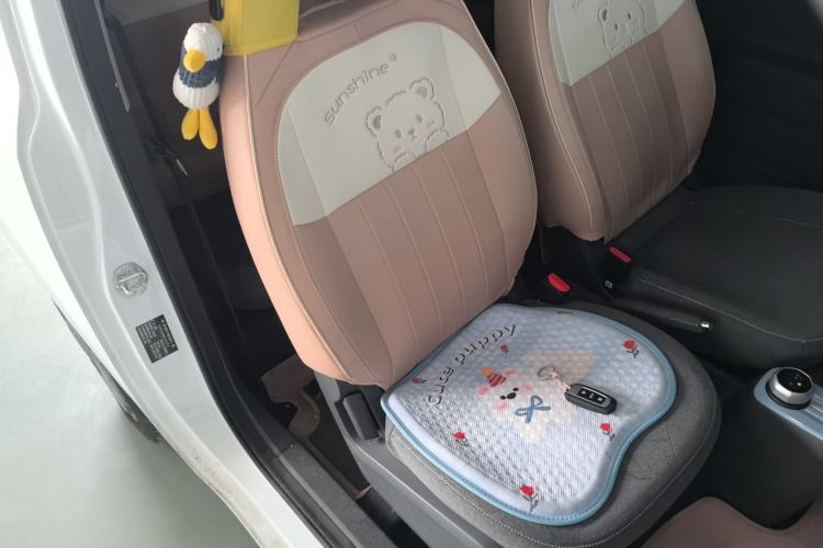 Used  Panda 2024 Panda Mini 200km Endurance Bear