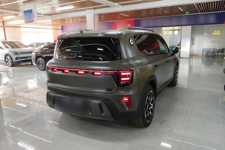 Used  #5 2024 Jungle Realm Limited Edition