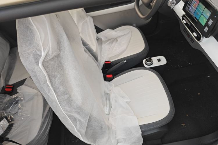 Used  Panda 2025 210 km – Yuanqi Bear