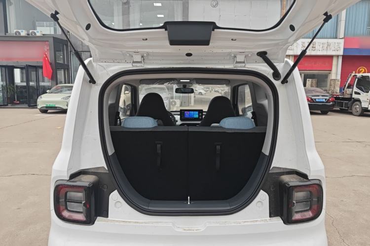 Used  Panda 2024 Panda Mini 200km Endurance Bear
