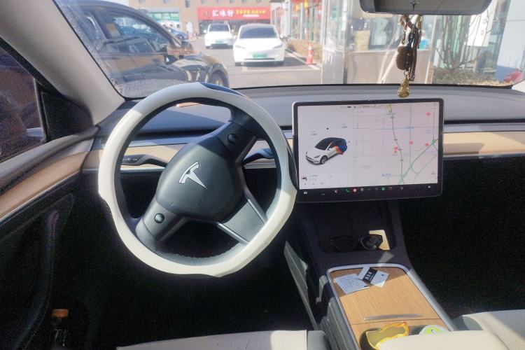 Used Tesla Model Y 2021 Standard Range Rear-Wheel Drive Version
